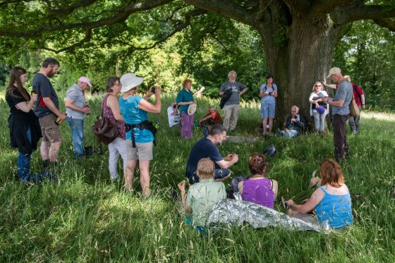 Folk under the Oak