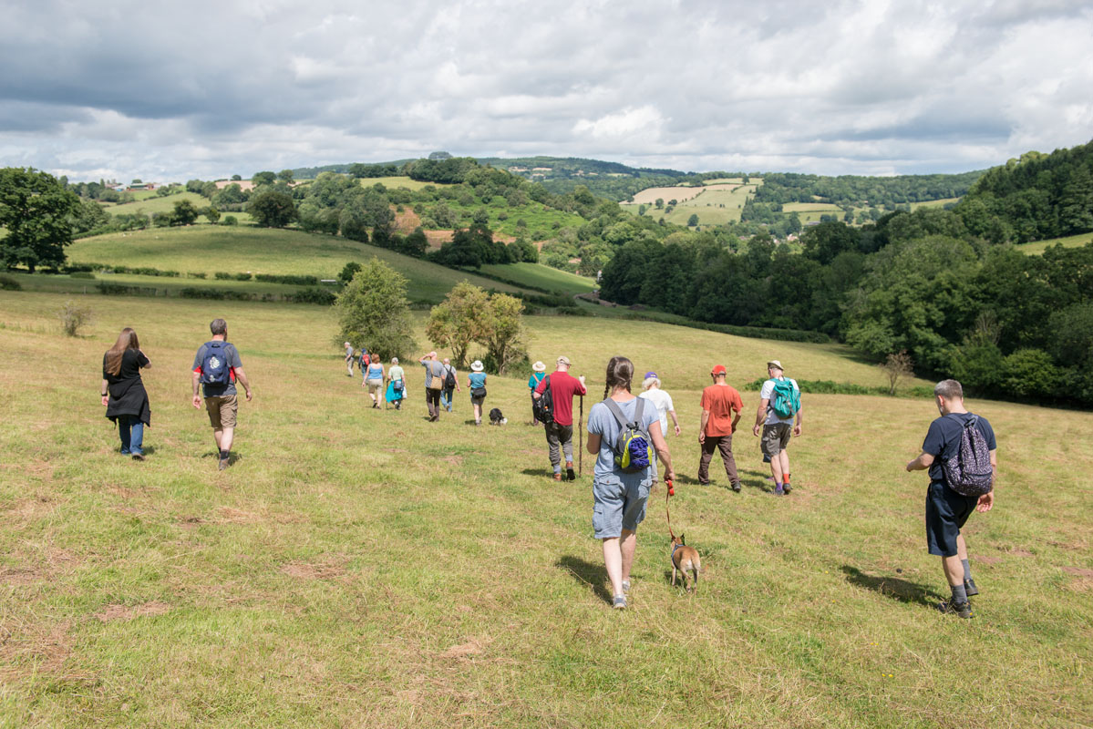 The Folk Walk crossing a field